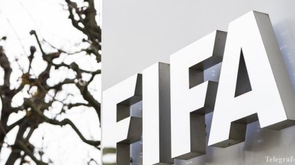 Платини не будет участвовать в выборах президента ФИФА