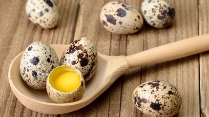 Почему весной нужно включить в ежедневный рацион перепелиные яйца