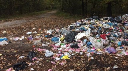 Львовский мусор перенесли в Волынский лес