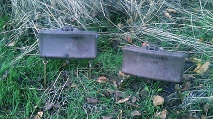 В Донецкой области местный житель нашел две боевые мины