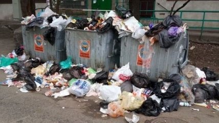 В Молдове социалисты и либералы едва не подрались из-за мусора (Видео)