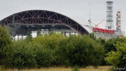 Минэкологии: Чернобыльскую зону превратят в заповедник