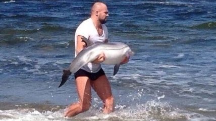 Боец ММА спас детеныша дельфина