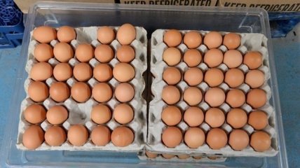 Куриные яйца в стране продолжают дорожать