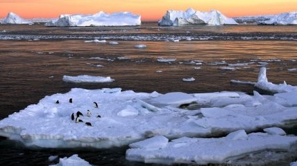 США отказались от бурения шельфов в Арктике