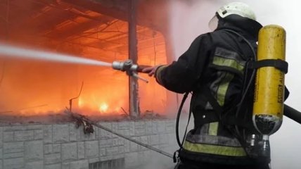 В Киевской области на пожаре погибли дети