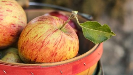 Яблоки - полезный фрукт, но не для всех