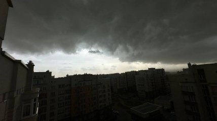 На Львівщині "погодний апокаліпсис": вітер валить дерева, а з неба сипеться град (фото та відео)