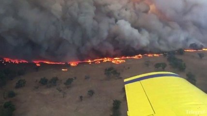 На востоке Австралии из-за рекордной жары бушуют пожары