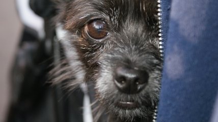 Сделали расклад Таро для каждого знака Зодиака на неделю с 30 октября по 5 ноября