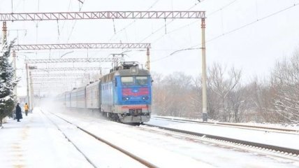 Дерево упало на провода: На Киевщине останавливалось движение по железной дороге 