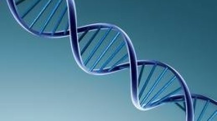 Альтруизм и антисоциальное поведение - наследуются