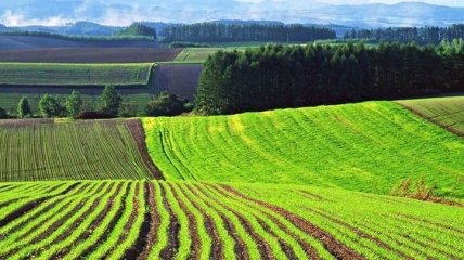 В Україні створили Фонд гарантування кредитів на купівлю землі