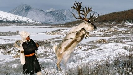 Воодушевленные природой снимки из "дикой" жизни кочевников-оленеводов (Фото)