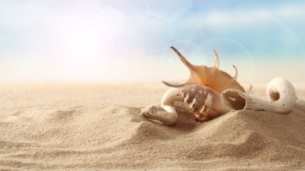Ученые: В пляжном песке обитают опасные бактерии
