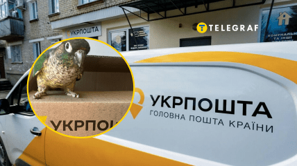 Поштовий оператор робить свої послуги зручнішими