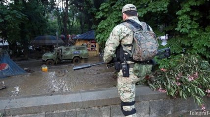 Спецназ прочесывает окрестности Тбилиси в поисках тигра