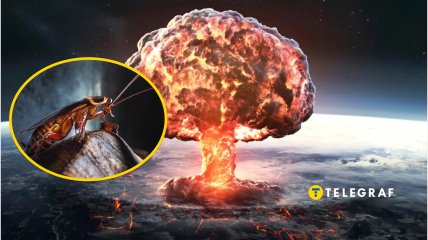 Ядерний вибух