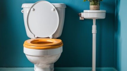 Чистий унітаз - гордість кожної господині  (зображення створено за допомогою ШІ)