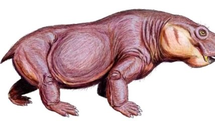 Ученые заявили, что перед динозаврами на Земле господствовали предки млекопитающих