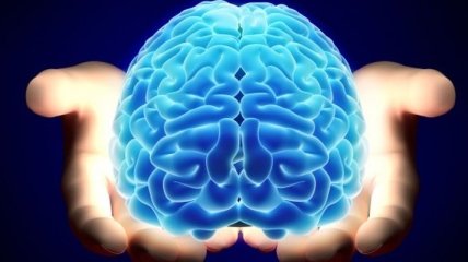 Ученые: различный набор функций полушарий мозга является мифом