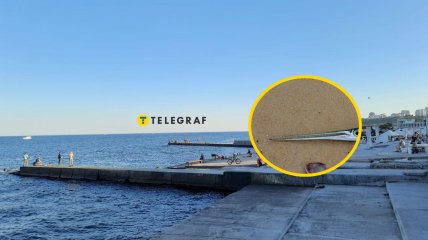 В Одессе рыбаки уловили рыбу сарган