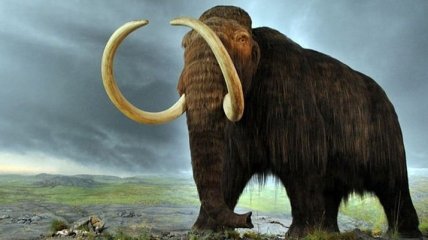 Ученые определили причину вымирания мамонтов на Земле