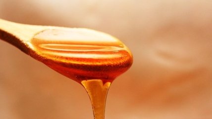 Чим корисний мед: 9 лікувальних властивостей, в які вірять люди