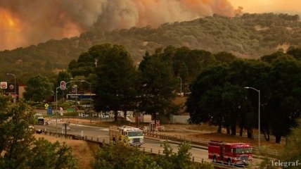 Пожары в Калифорнии уничтожили почти тысячу домов