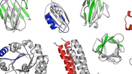 Учеными найдены доисторические предки белков