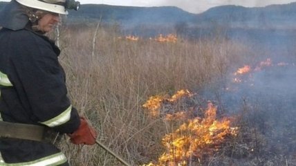 В Украине объявлен наивысший уровень пожарной опасности