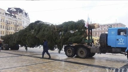 На Софиевскую площадь Киева доставили главную елку страны