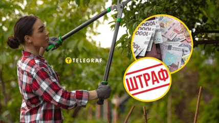 Когда удаление ветвей является нарушением