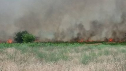 В Херсонской области горело 15 га степи 