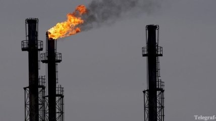 Румыния накажет нефтяников, которые загрязнили Дунай