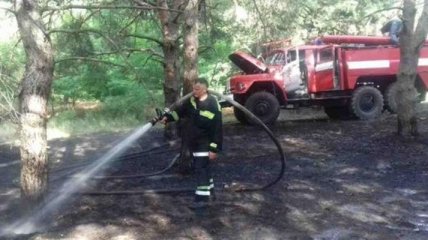 В Украине зафиксированы первые лесные пожары с начала лета