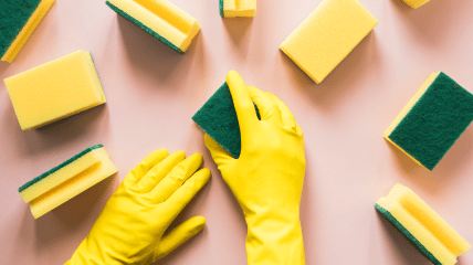 Губки имеют жесткую сторону