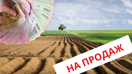 Українці люблять пишатись землею. Кому вона потрібна?