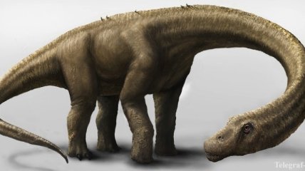 В Антарктиде были найдены останки динозавров