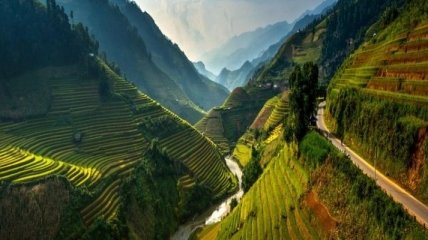 Живописные рисовые террасы Вьетнама (Фото)