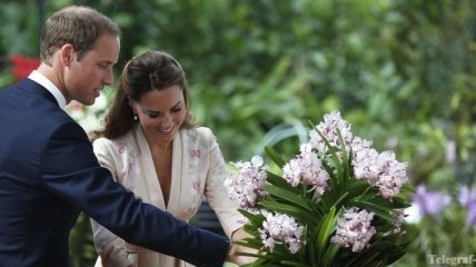 В честь принца Уильяма и его супруги Кэтрин названа орхидея