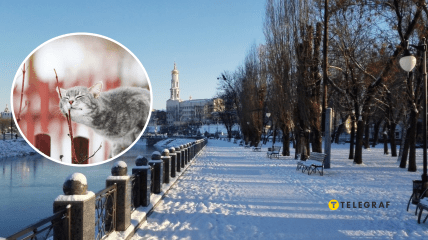 Погода взимку