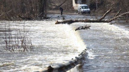 В России паводком прорвало дамбу на реке Бердь
