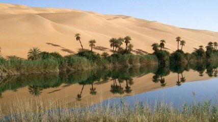 Не райский сад, но все же: изменение климата может озеленить крупнейшую пустыню мира