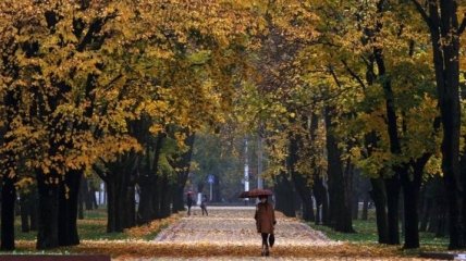 Погода в Украине 31 октября: местами дожди
