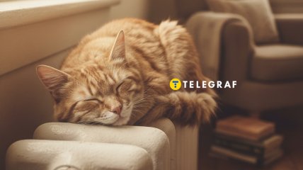 Перед отопительным сезоном батареи нужно проверить и очистить