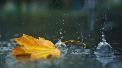 Погода в Украине 6 ноября: местами пройдут небольшие дожди