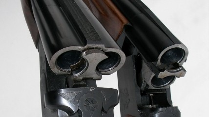 Рушниця (тематичне фото)