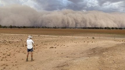 Беда не приходит одна: Австралию накрывает пыль (Видео)
