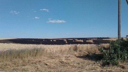 На Харьковщине сгорели 10 гектар пшеницы (Фото)